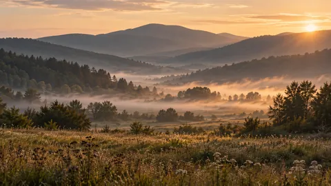 Editorial illustration of shallow dawn fog between layered hills and a meadow.