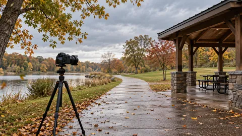 Editorial illustration of a camera on a park path near a covered shelter in overcast weather.
