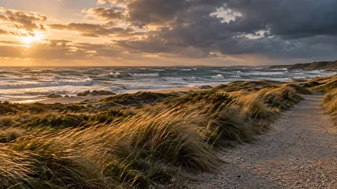 Editorial illustration of wind-blown coastal grasses beside rough water and a broad inland path.